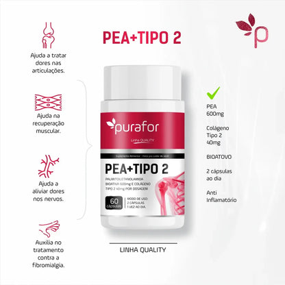 PEA 600mg Palmitoiletanolamida Bioativa Com Colágeno Tipo 2 Purafor 60caps Alta pureza