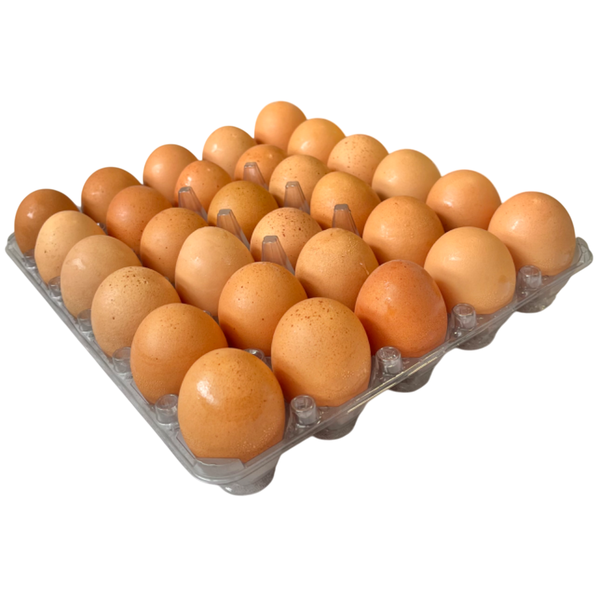 COMPRA AVULSA | Ovos Tamanho Extra | Galinhas Livres Cage-Free