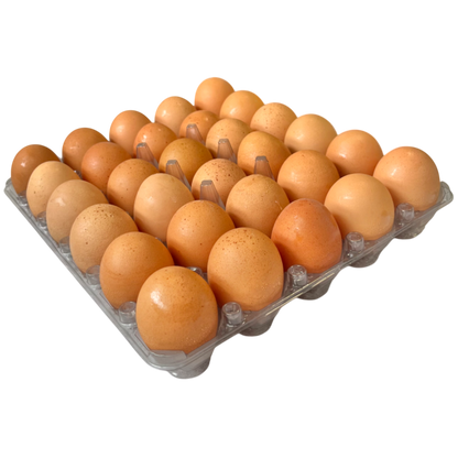 COMPRA AVULSA | Ovos Tamanho Extra | Galinhas Livres Cage-Free