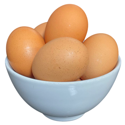 COMPRA AVULSA | Ovos Tamanho Extra | Galinhas Livres Cage-Free
